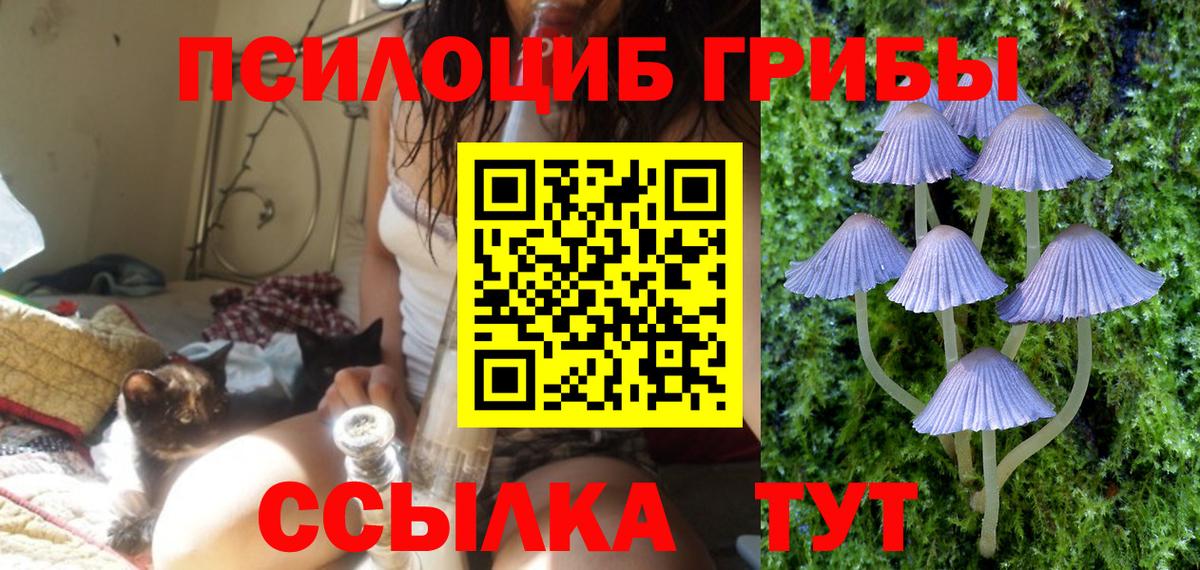 Псилоцибиновые грибы GOLDEN TEACHER Северск